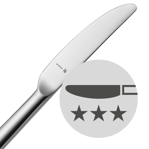 Large-Inserted-forged-steel-blades-polished-300.jpeg